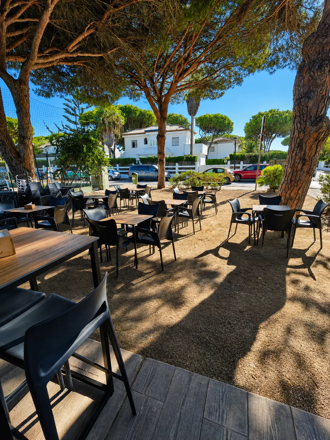 Terraza entre pinos